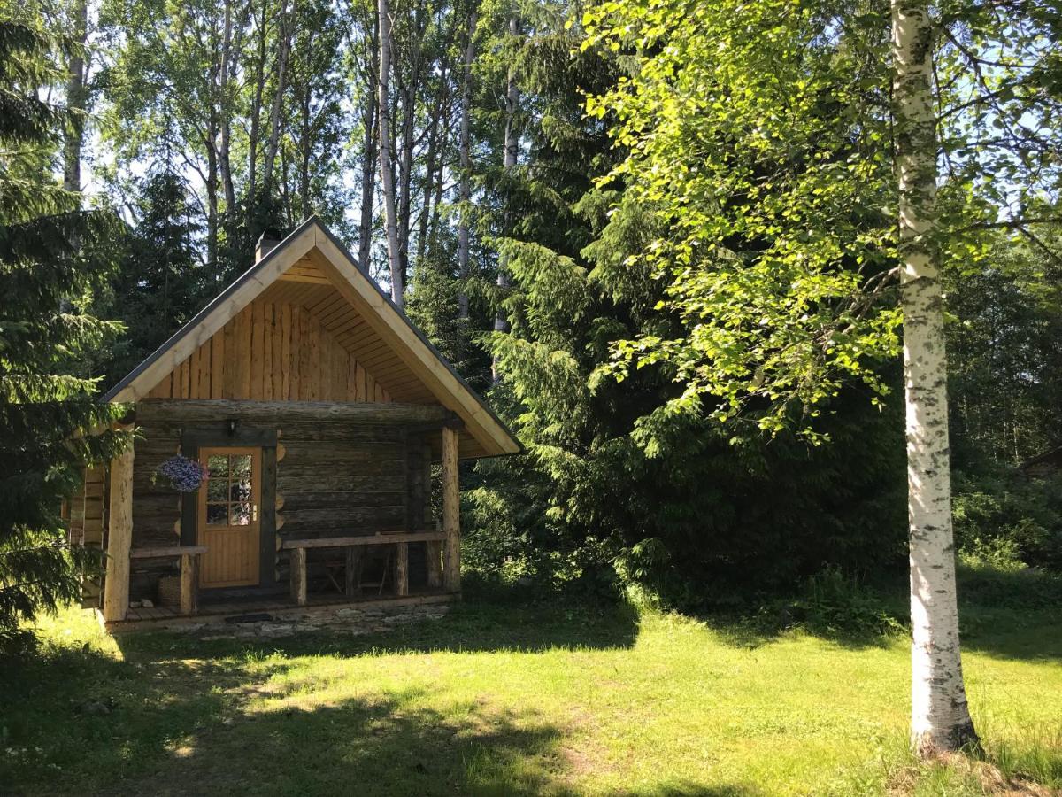 Haaviku Nature Cottage Tepelvalja Eksteriør bilde