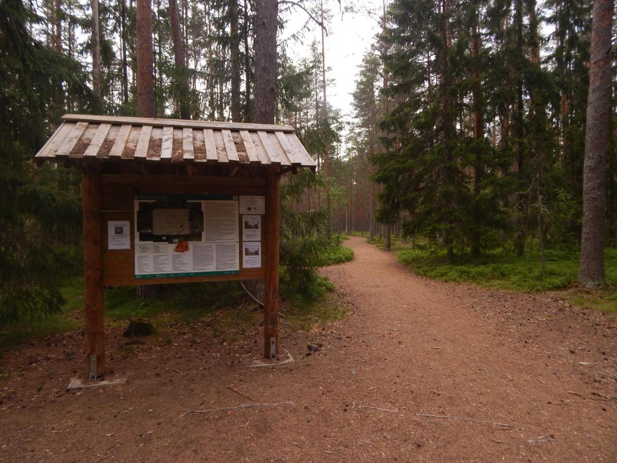 Haaviku Nature Cottage Tepelvalja Eksteriør bilde